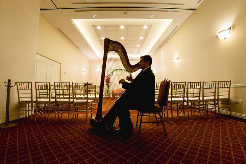 萨菲奢华皇谷酒店 San Pedro Garza Garcia 外观 照片 A harpist playing at a wedding